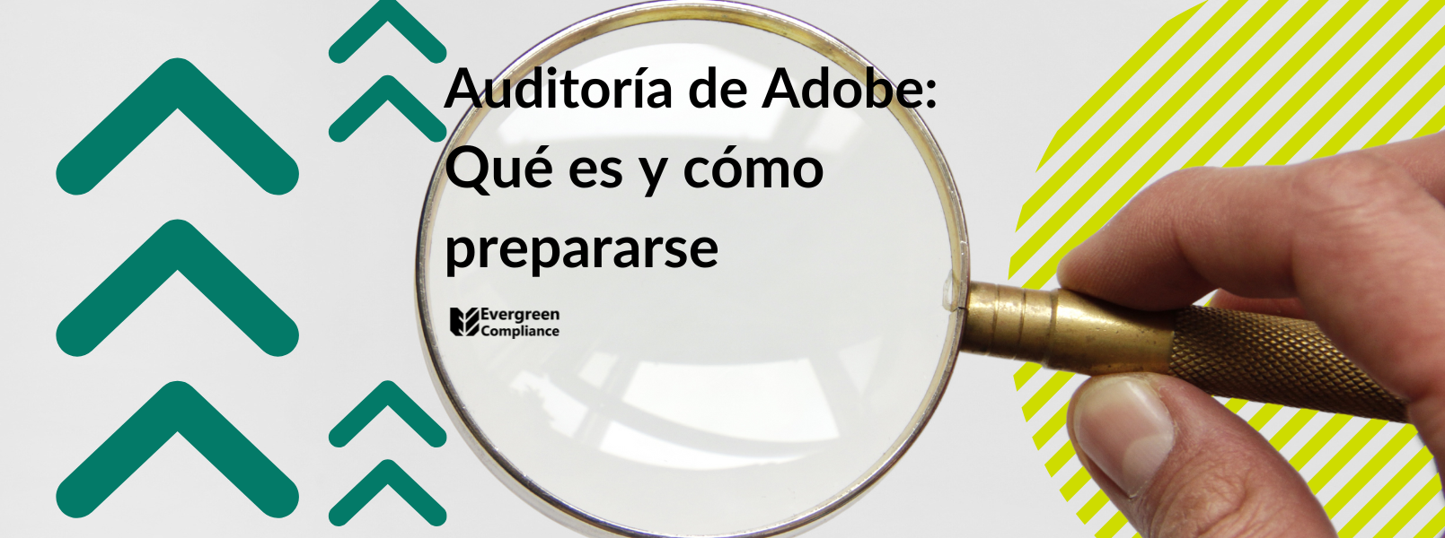Riesgo de incumplimiento de licenciamiento de Adobe por uso de versiones no soportadas