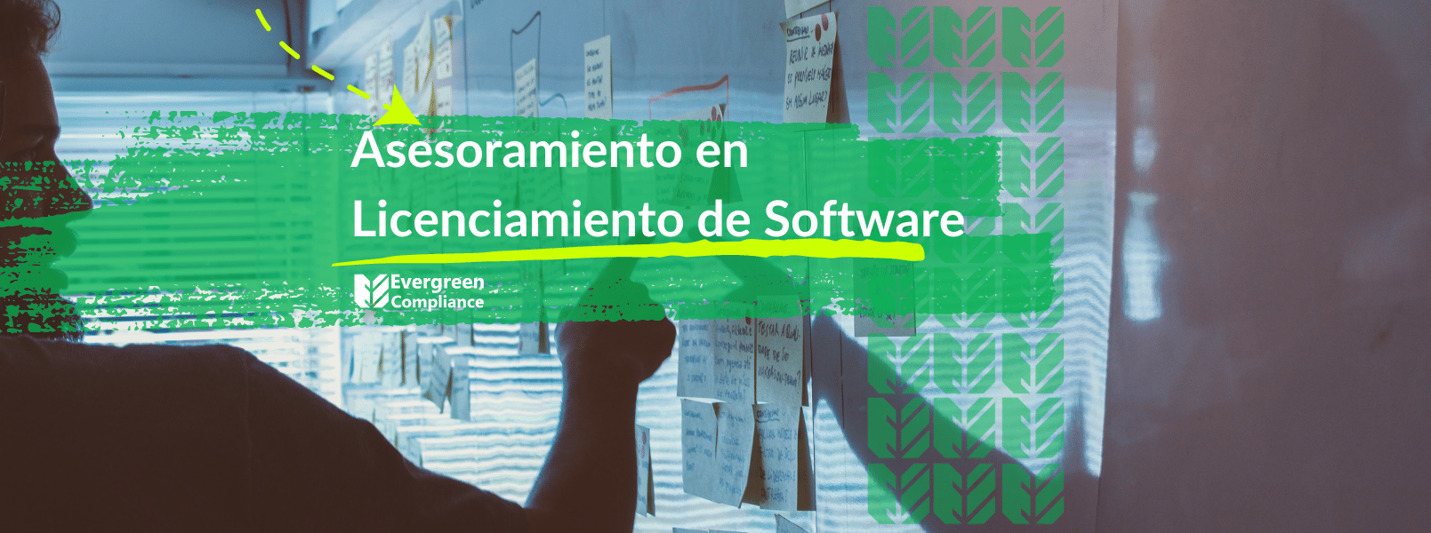 Asesoramiento en licenciamiento de software