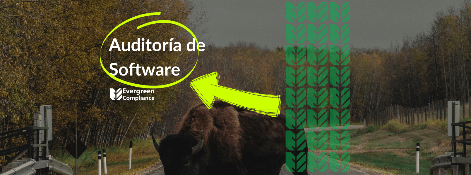 Auditoría de software