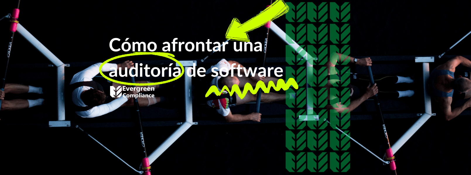 Cómo afrontar una auditoría de software