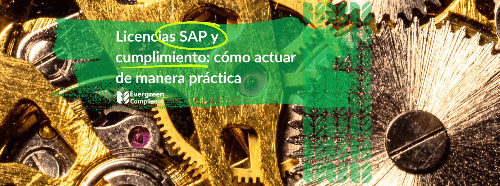Licencia SAP y cumplimiento: cómo actuar de manera práctica