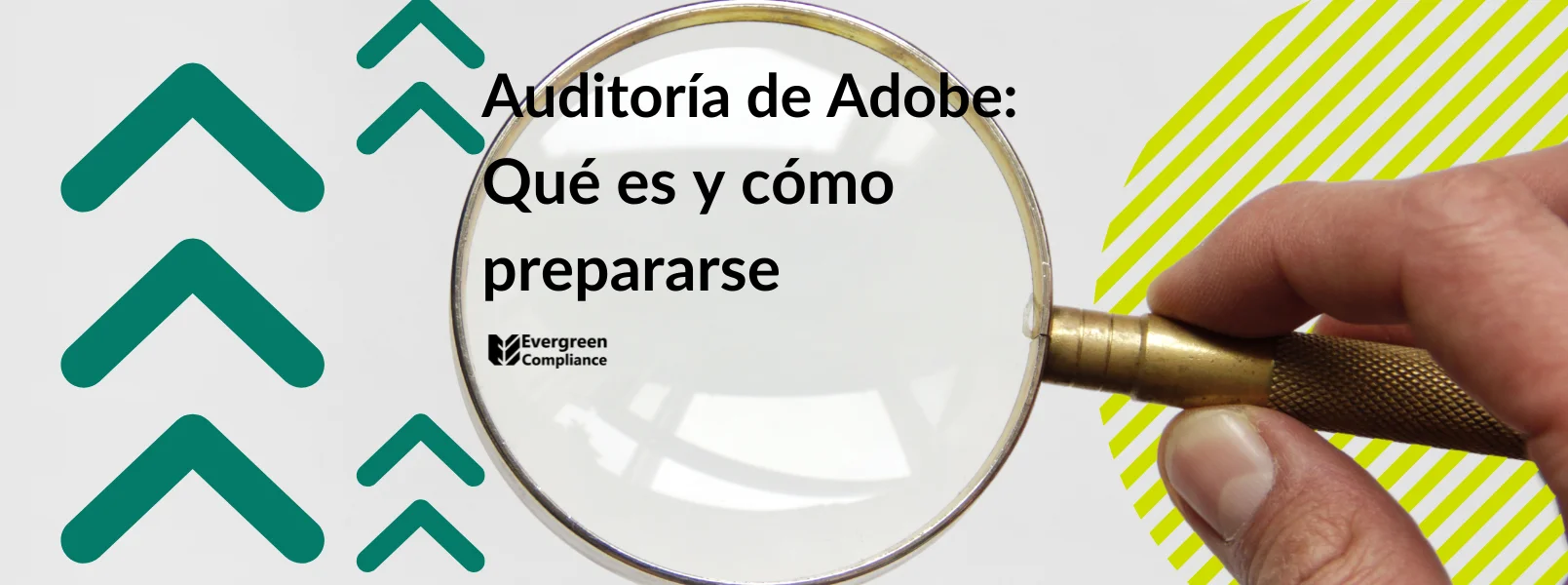 Riesgo de incumplimiento de licenciamiento de Adobe por uso de versiones no soportadas