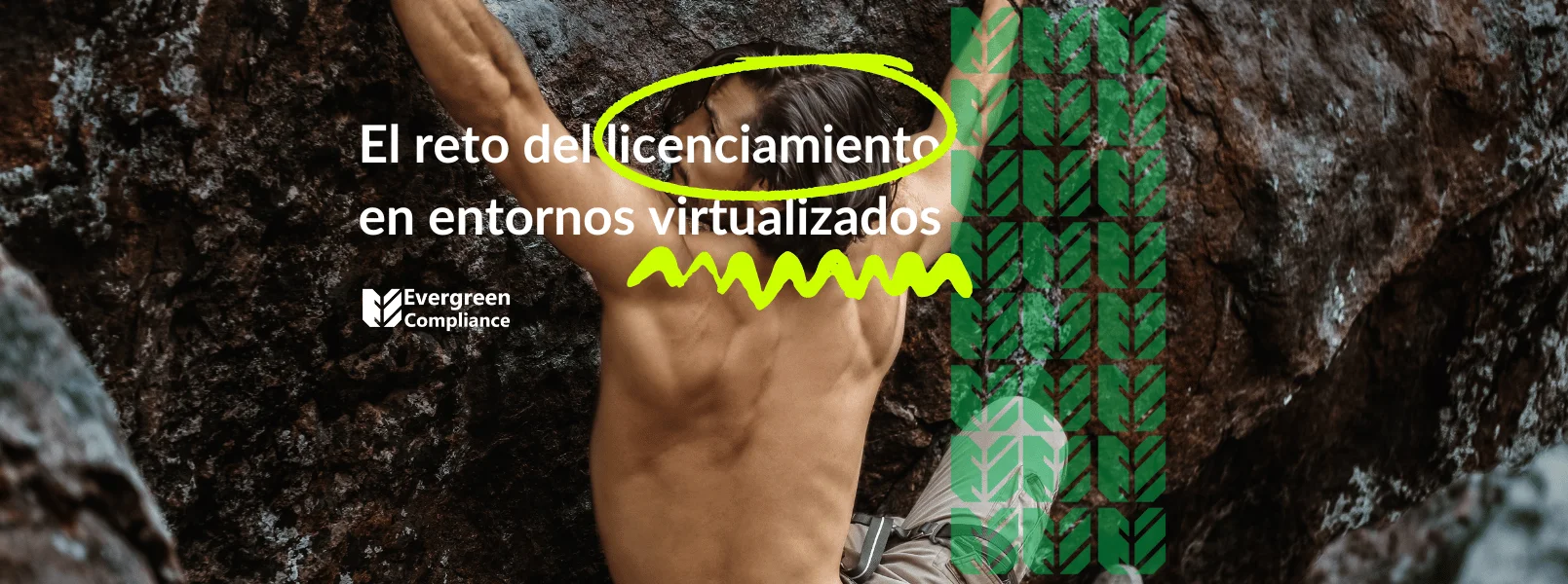 Implicaciones de la virtualización en licenciamiento