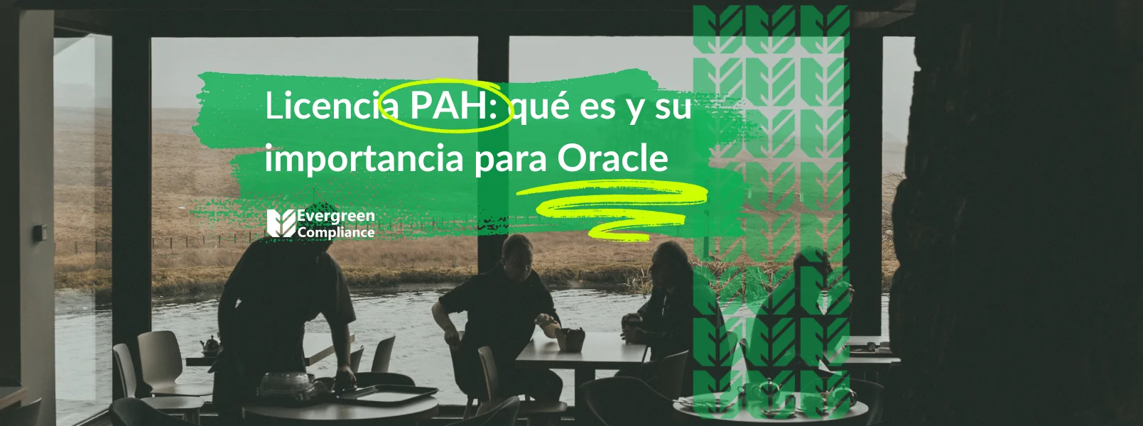 Licencia PAH: qué es y su importancia para Oracle